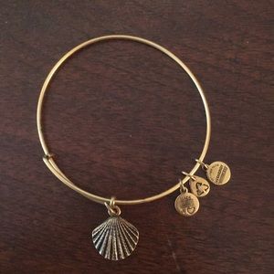 Alex and Ani bracelet